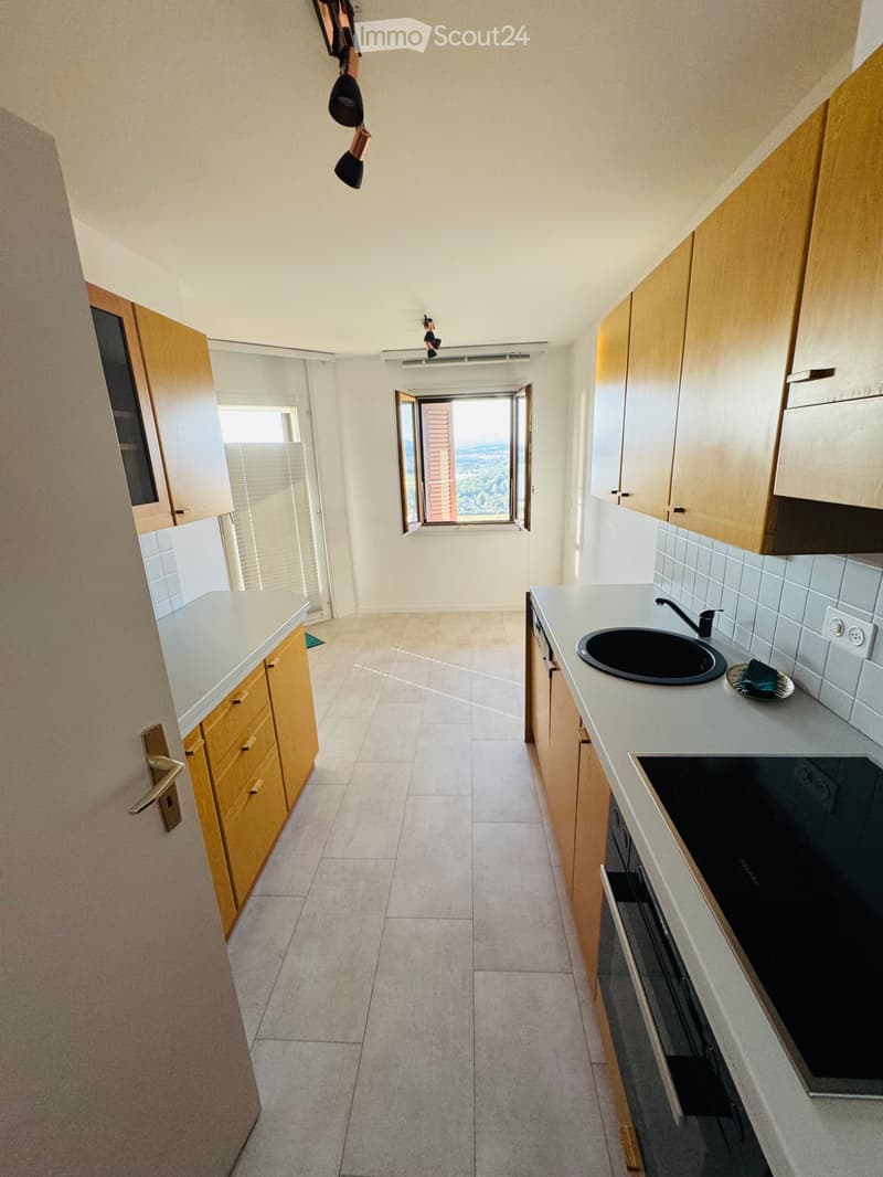 Apartment 3p1/2 with breathtaking view of Lake Morat and the Alps (3)