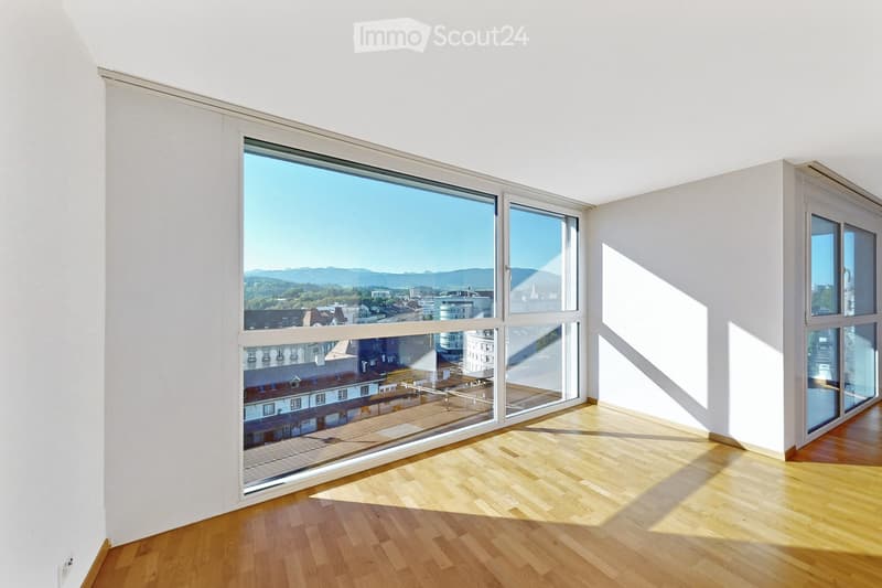 Magnificent penthouse on the 6th floor of a 4.5-story building (4)