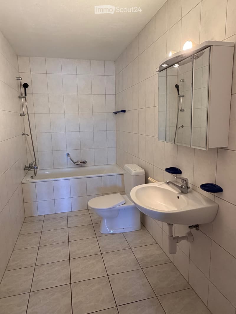 Prächtige Wohnung (3)
