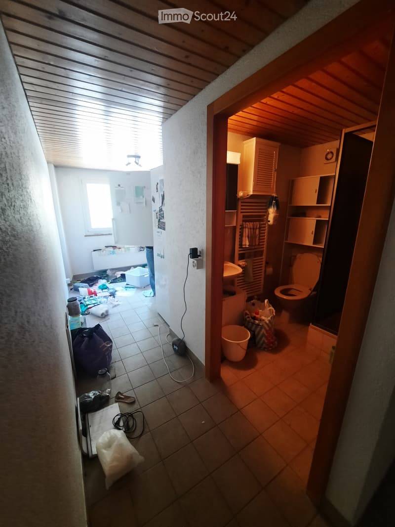 Sonvilier - Appartement / Wohnung (5)