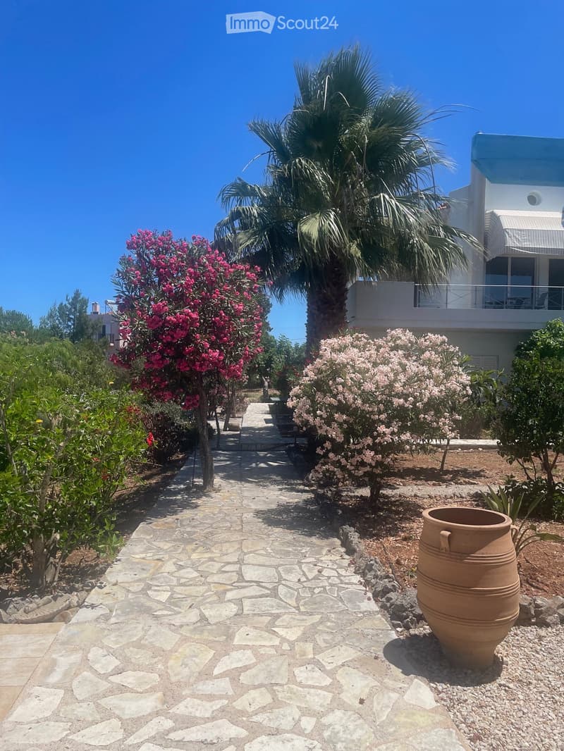 Casa dei sogni a Creta, piscina, vista mare, ulivi e vigneto (4)