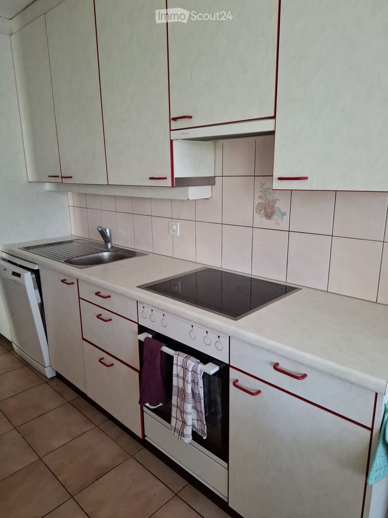 Appartamento 3 locali a Morges (3)