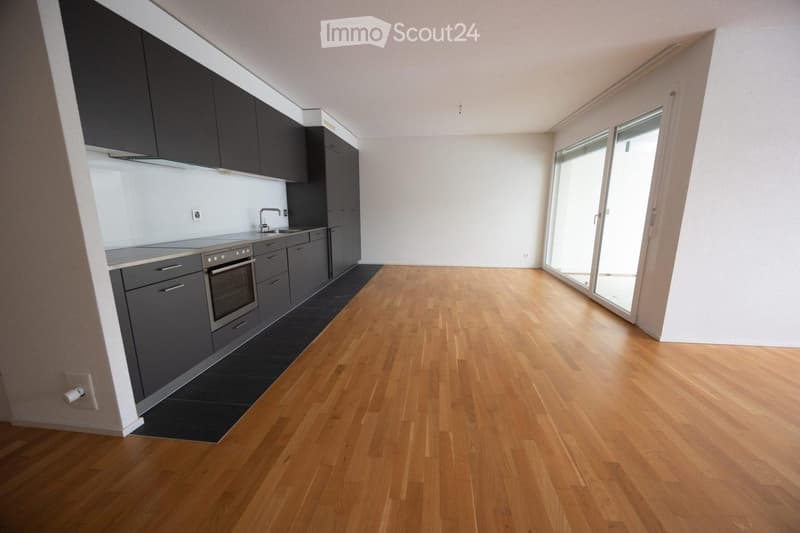 Große 4-Zimmer-Wohnung für eine Familie in Meyrin (4)