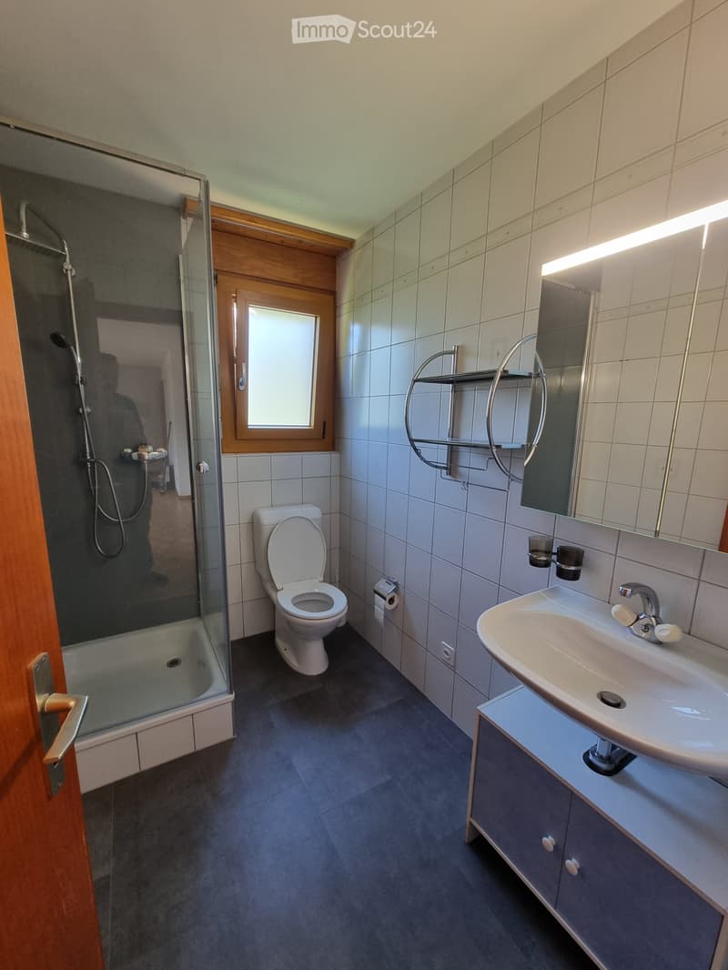Appartement 2,5 pièces disponible immédiatement (4)