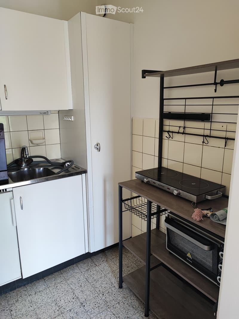 Appartamento a Losanna (2)
