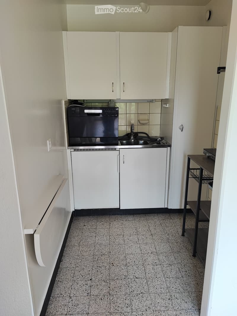 Appartamento a Losanna (3)