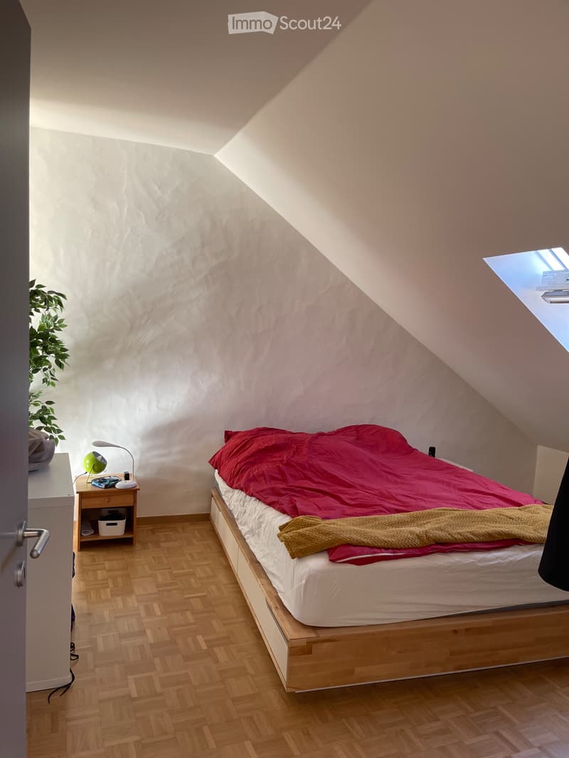 Magnificent 2.5-room apartment with large balcony (2)