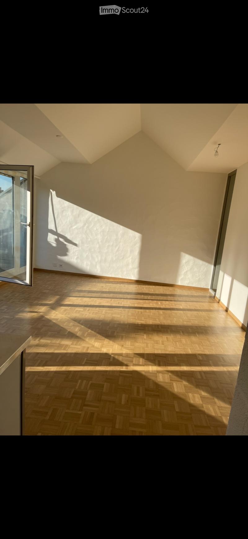 Magnificent 2.5-room apartment with large balcony (3)