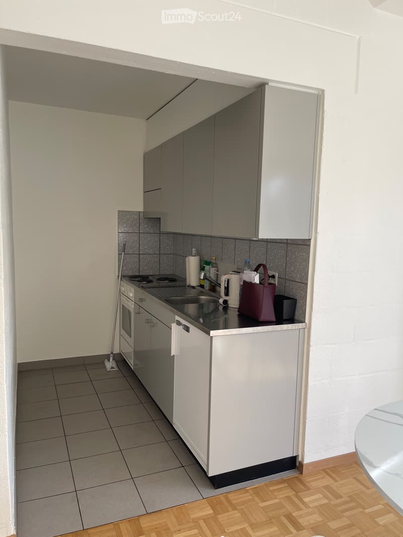 Magnificent 2.5-room apartment with large balcony (4)