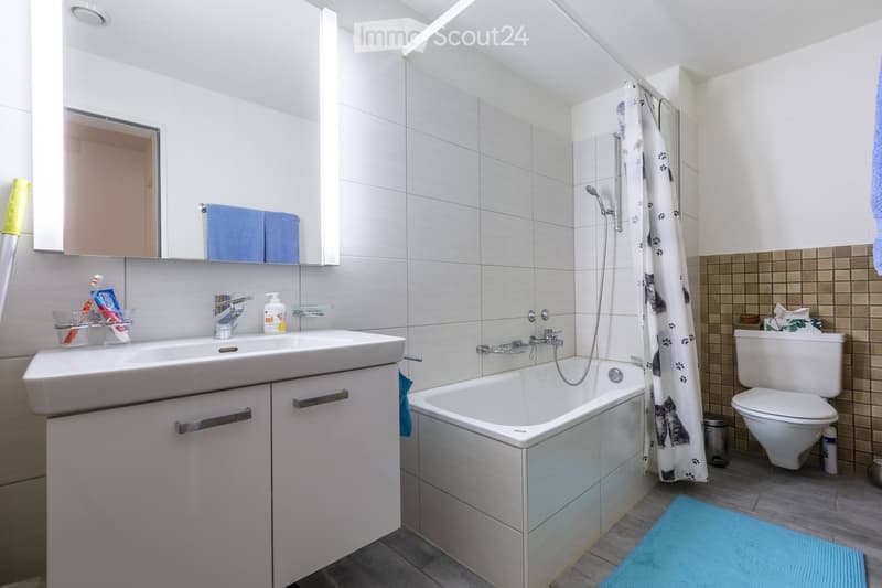 Sottolocatario per 6 mesi a Zürich-Seefeld cercato (4)