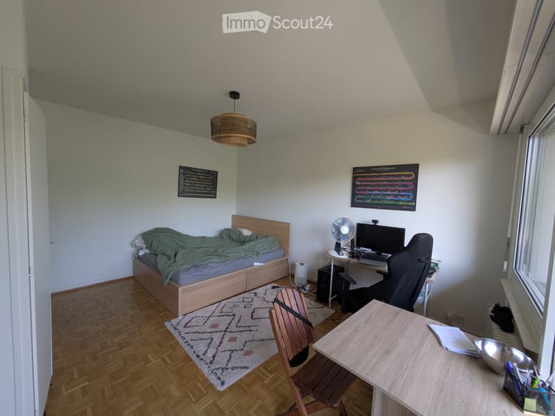 Studio Meyrin 1.5 rooms (3)