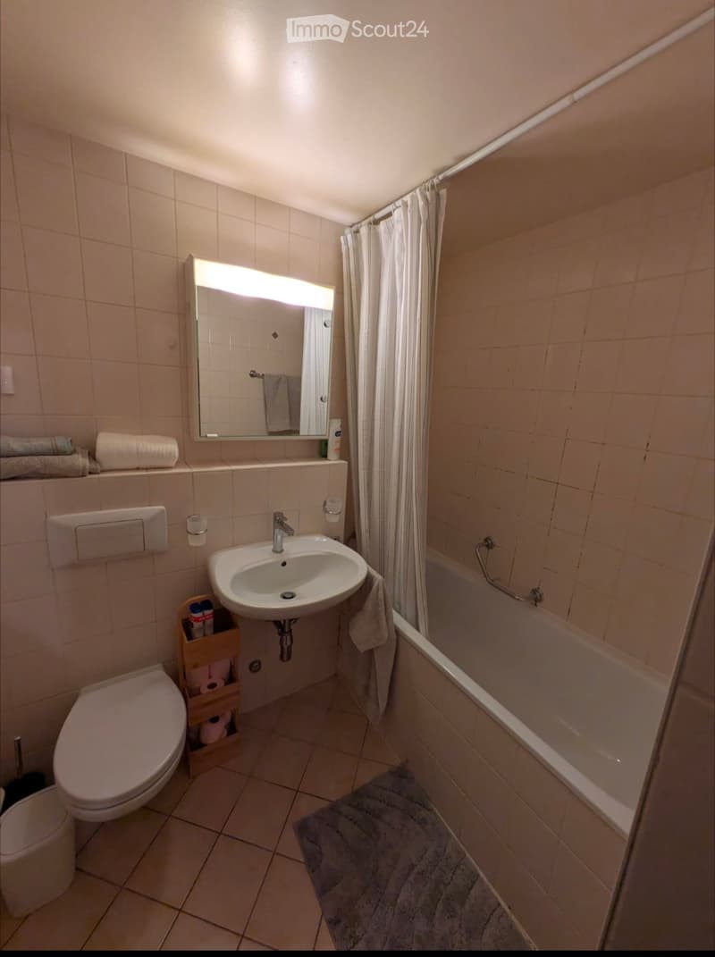 Studio Meyrin 1.5 rooms (2)