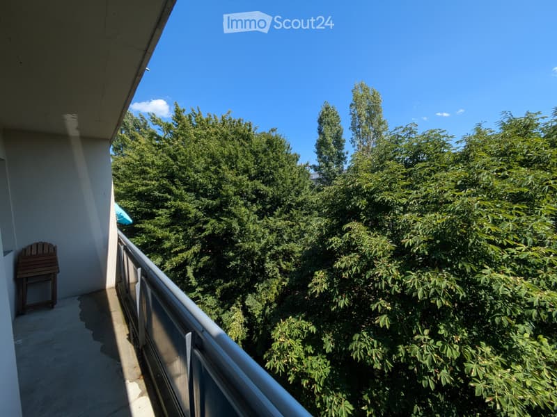 Studio Meyrin 1.5 rooms (5)