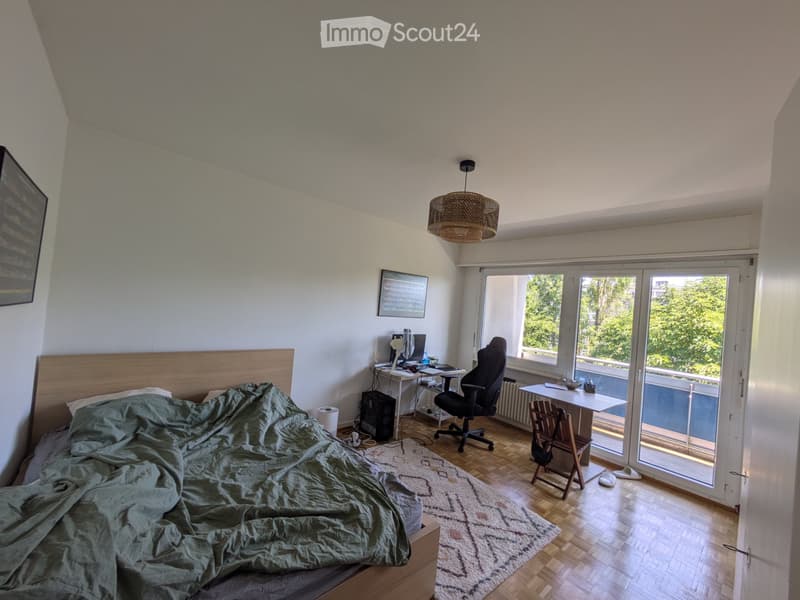 Studio Meyrin 1.5 rooms (4)