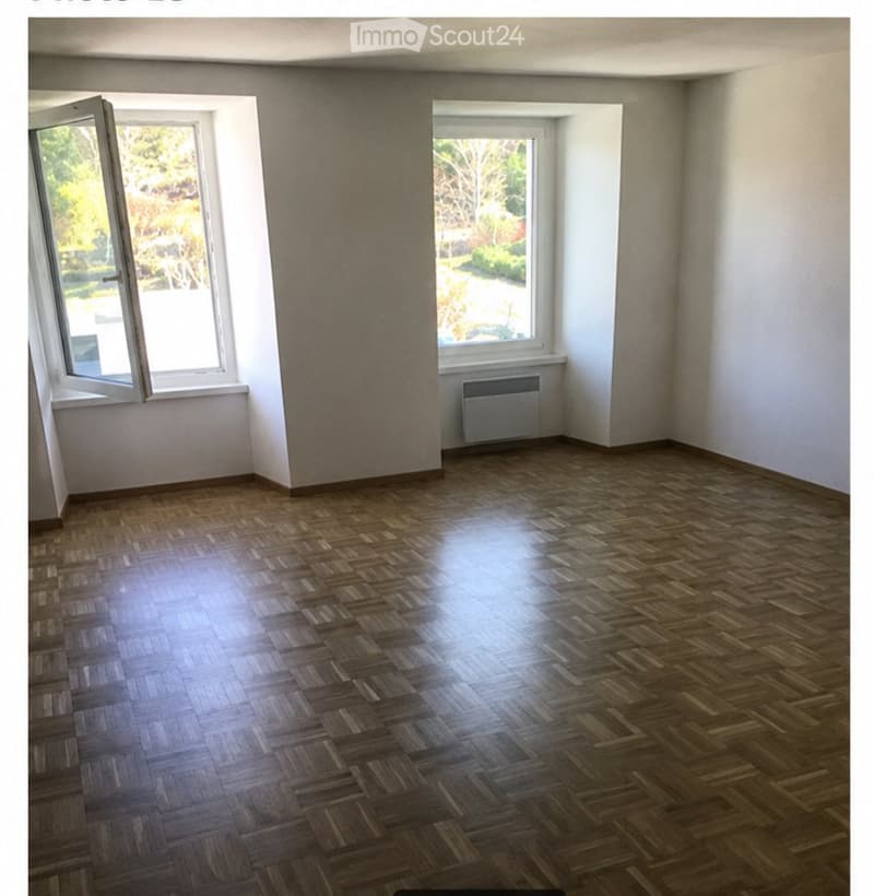 Ampio appartamento di 100 m² a Echallens (2)