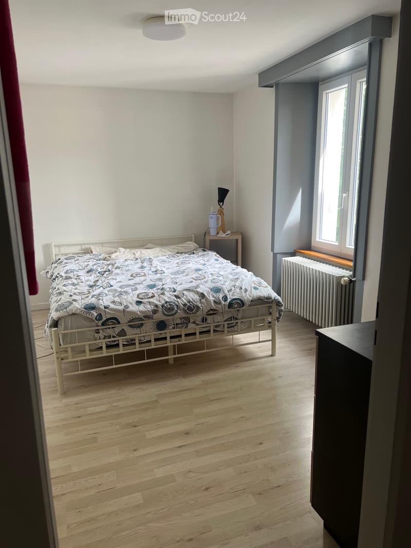 Appartamento 3 locali in affitto (2)