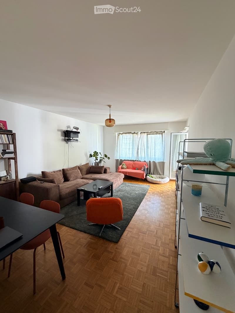 Appartamento di 2,5 locali (3)