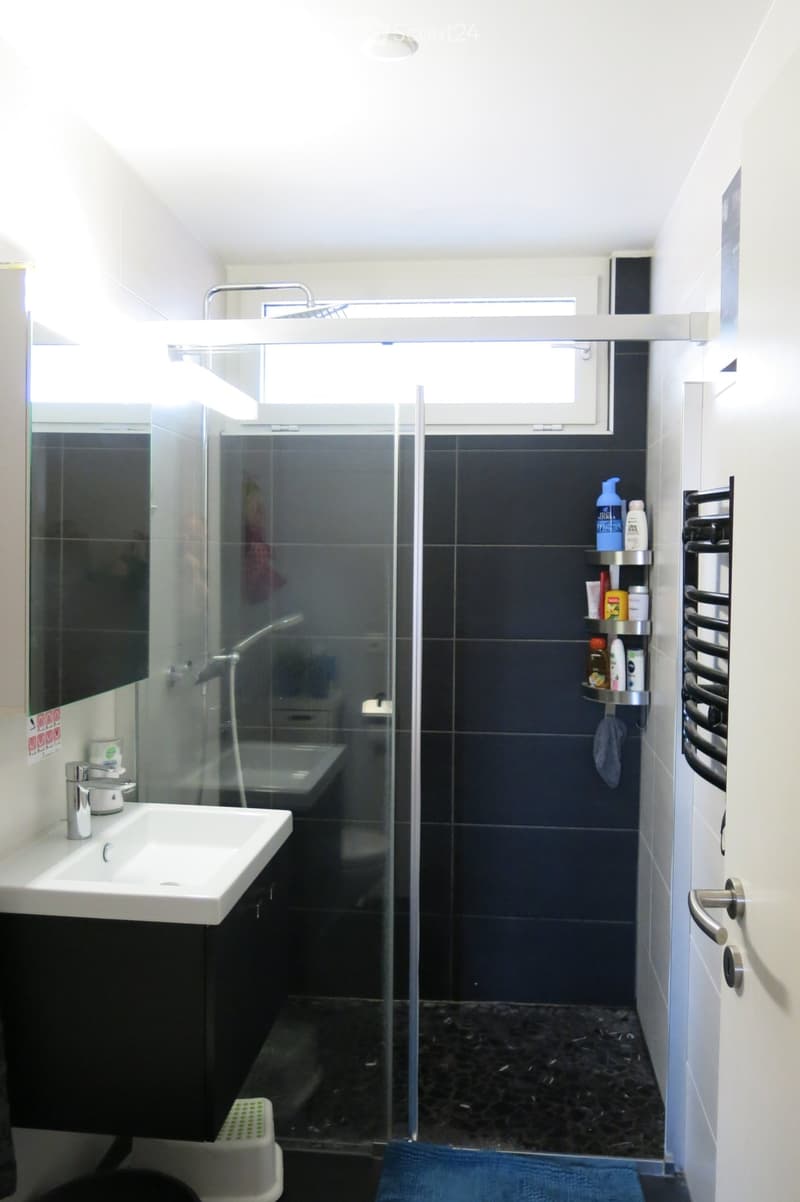 Prächtige 4.5-Zimmer-Dachwohnung (5)