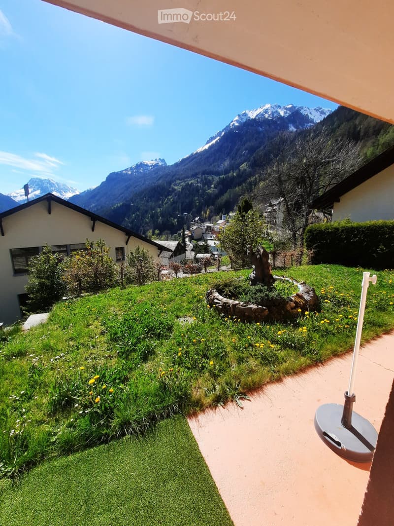 Charmant appartement meublé de 2 pièces avec TV et Internet (1)
