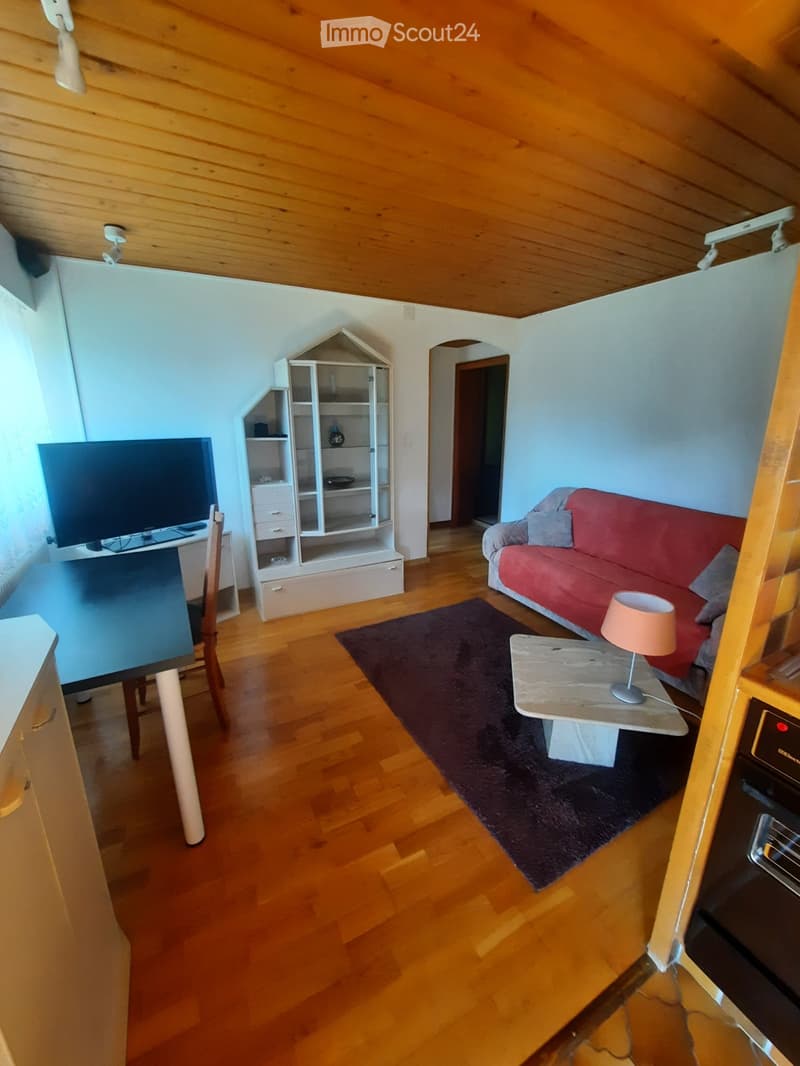 Charmant appartement meublé de 2 pièces avec TV et Internet (4)