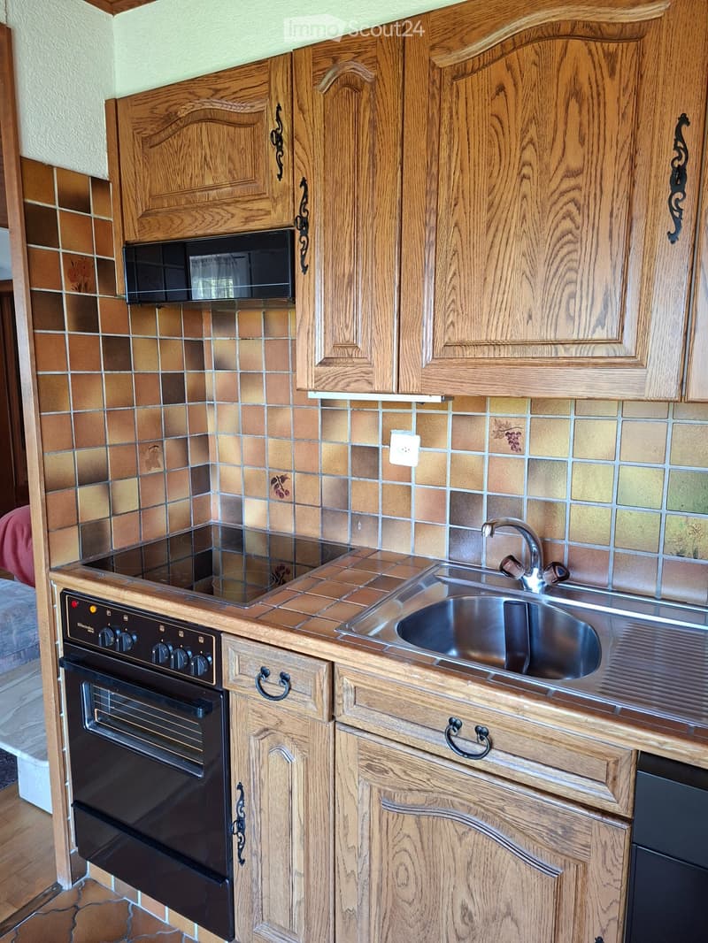 Charmant appartement meublé de 2 pièces avec TV et Internet (5)