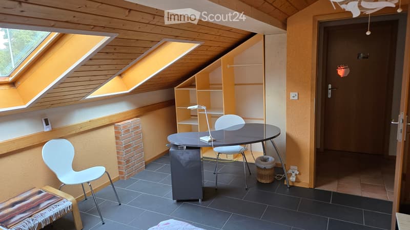 Chambre d'hôte spacieuse et calme (5)