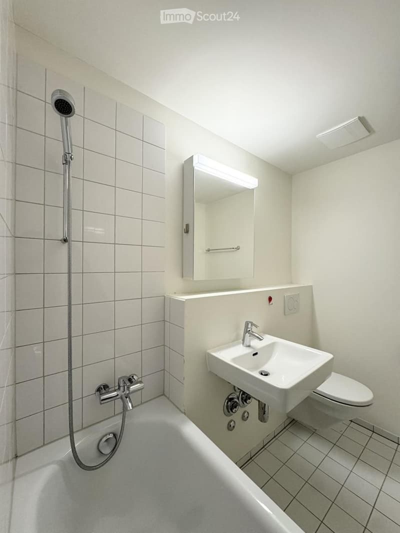 Delizioso appartamento di 2 camere a Berna, Buristrasse (2)