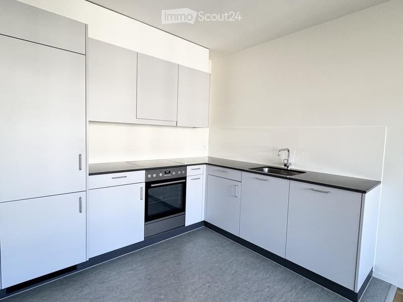 Delizioso appartamento di 2 camere a Berna, Buristrasse (1)