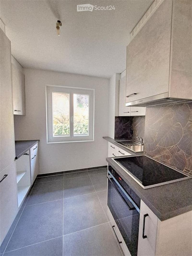 Appartamento di due locali a Sion, Av. du Petit-Chasseur (1)