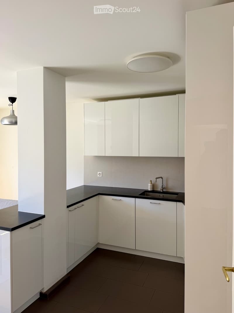 Appartamento 4 locali ca. 80 m2 Champel (5)