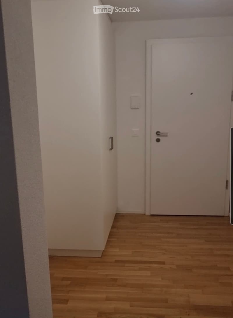 Appartement 4.5 pièces avec pelouse (4)