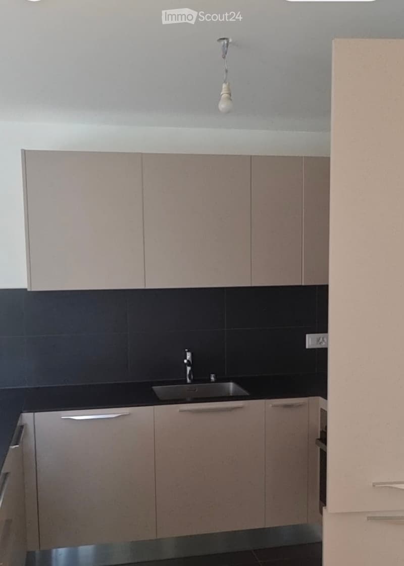 Appartement 4.5 pièces avec pelouse (2)