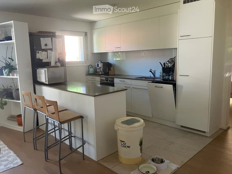 Appartement 4,5 pièces 1er étage avec jardin (3)