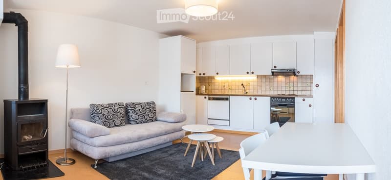 Appartement entièrement rénové et meublé avec terrasse (2)