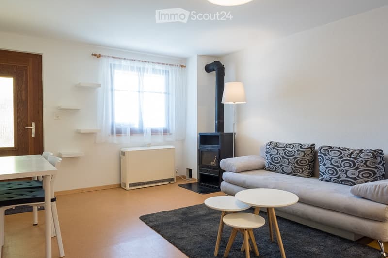 Appartement entièrement rénové et meublé avec terrasse (4)