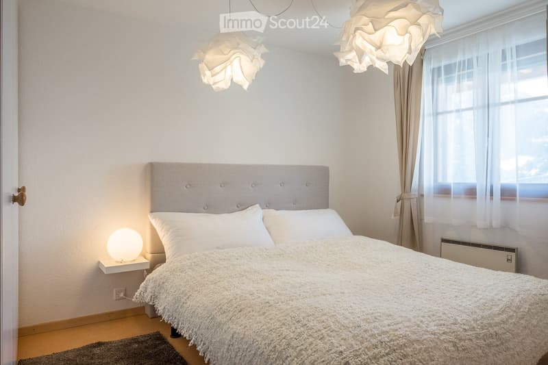 Appartement entièrement rénové et meublé avec terrasse (1)
