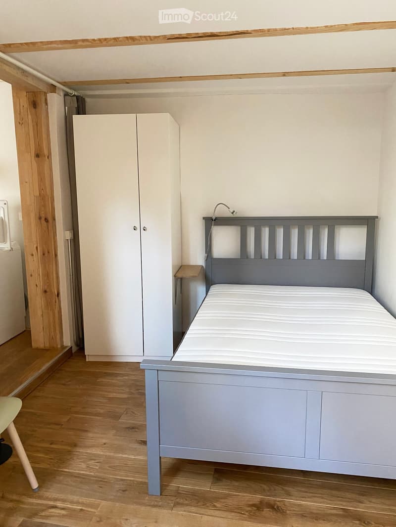 2 rooms (furnished) with loggia and garden in the Bourg (2)