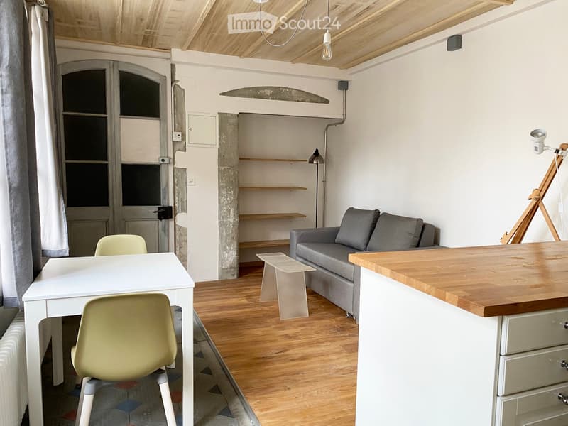 2 rooms (furnished) with loggia and garden in the Bourg (3)