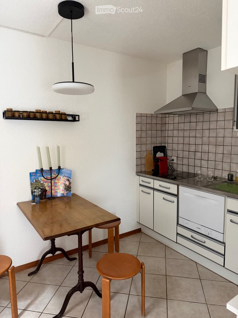 Appartement 1,5 Zimmer ab 1.8.2026 oder zu vereinbaren (3)