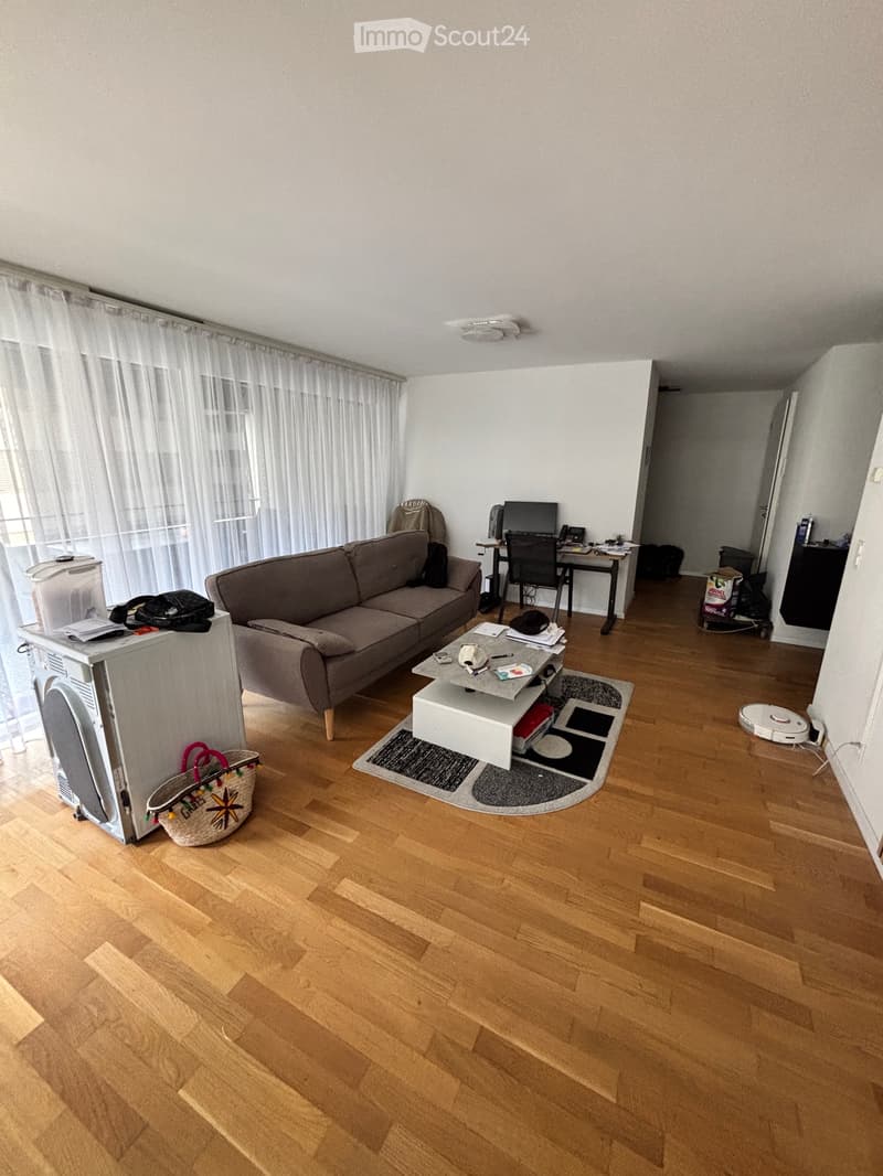 Meraviglioso appartamento di 4,5 locali con balcone (2)
