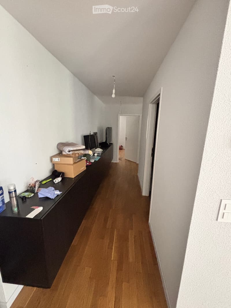 Meraviglioso appartamento di 4,5 locali con balcone (4)