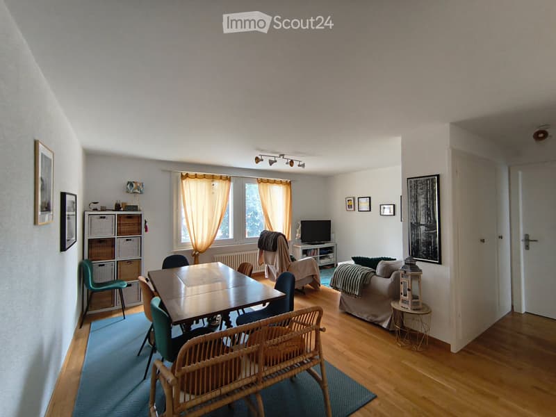 Appartement à louer (1)