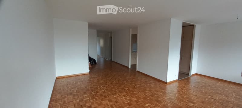 Chavornay, bello 2,5 locali in affitto (3)