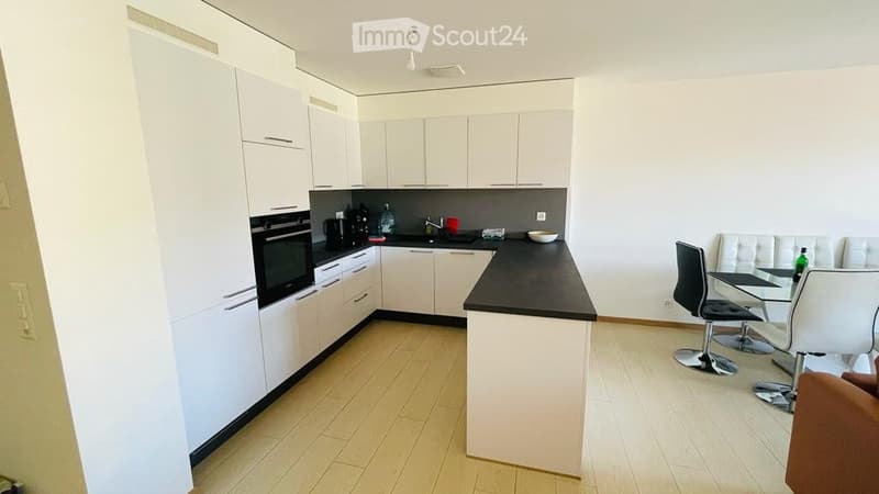 Appartamento con grande terrazza e vista lago (3)