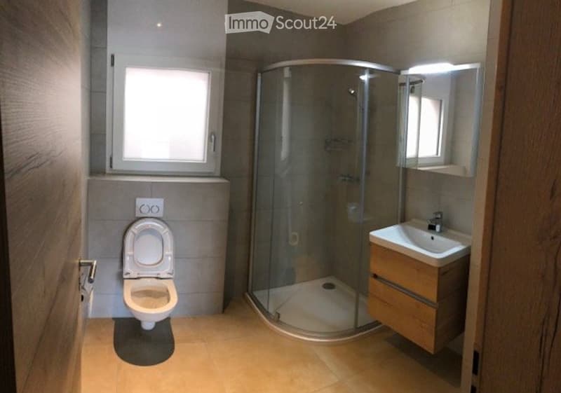 Wohnung 3.5 Zimmer (3)