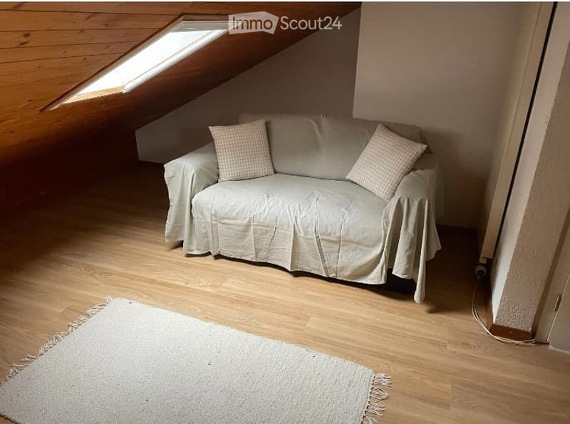 Grande chambre avec salle-de-bains privative à Versoix (2)