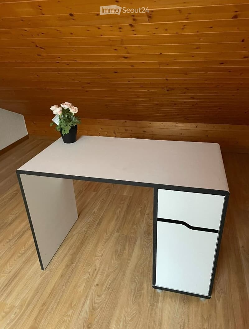 Grande chambre avec salle-de-bains privative à Versoix (1)