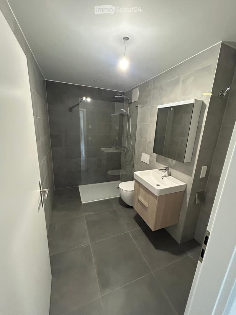 Appartement zur Miete ab 1. Oktober 2026 (4)