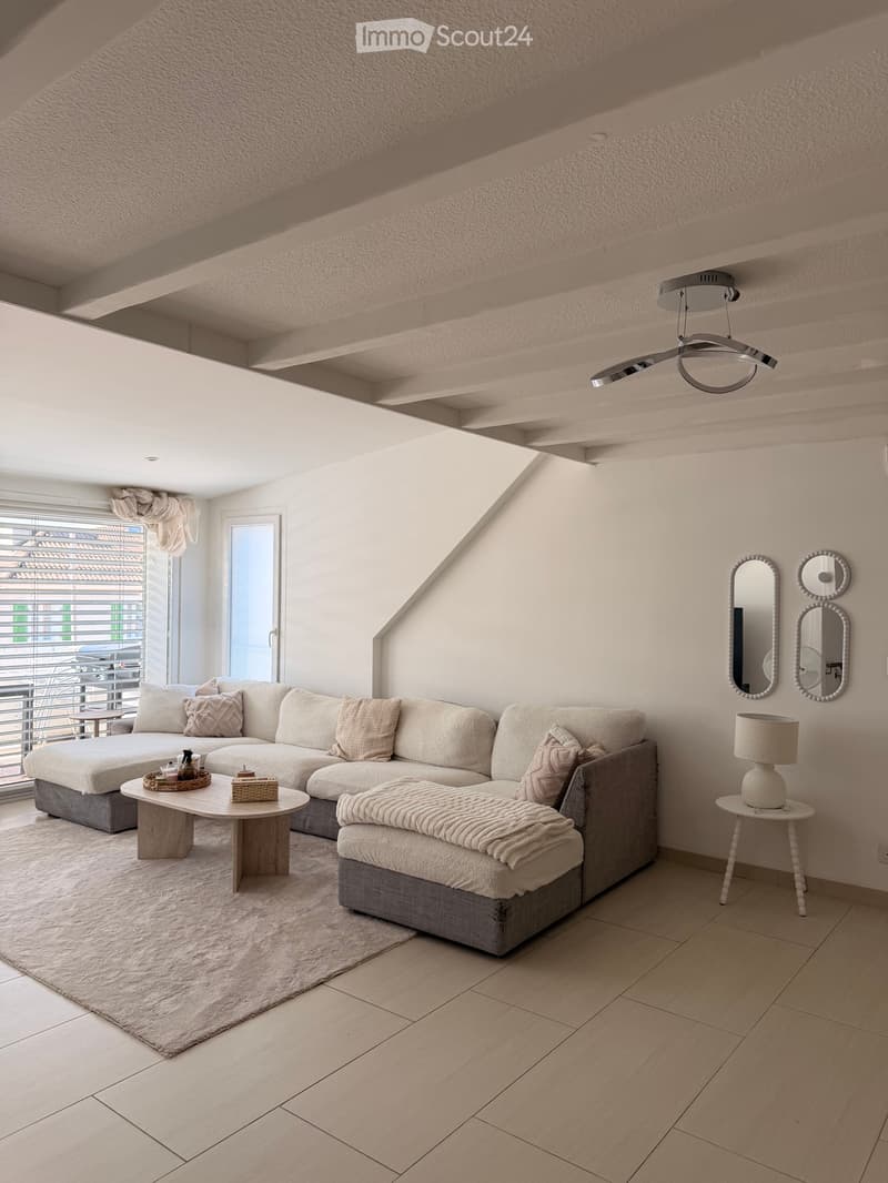 Appartement 4,5 pièces à louer de 140m2 (4)