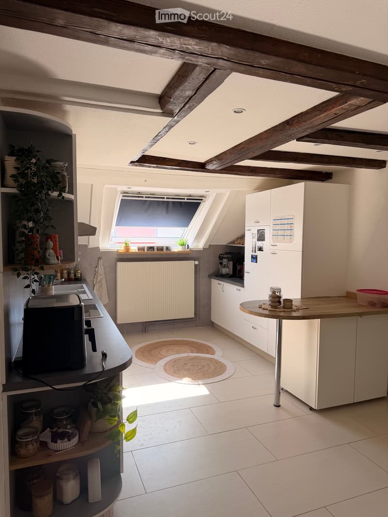 Appartement 4,5 pièces à louer de 140m2 (1)